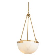 Hanover Iron & Resin 3 Light Pendant